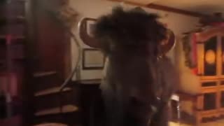 buffalo in house