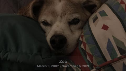 Zoe Tribute Video