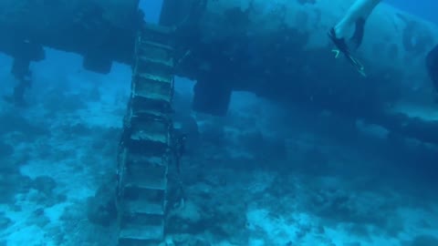 Aruba Dive Trip - Summer 2021