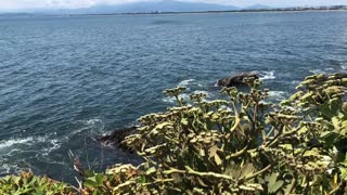 Enoshima beautiful Sea View of Japan..