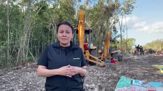 Activistas de Greenpeace protestan para impedir construcción de un tramo del Tren Maya