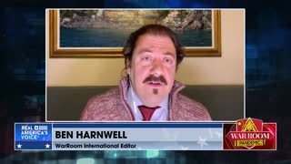 Harnwell: 'The West Is Provoking Russia Towards A Nuclear Response'