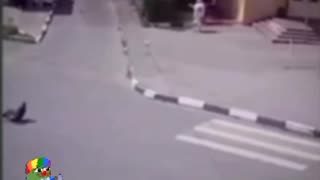 PERSON CROSSING THE STREET THROWN OVER BY INVISIBLE MEANS