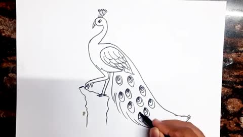 Easy peacock Drawing from 2 // Easy Drawing