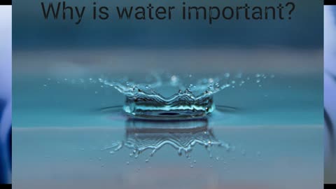 Why Is Water Important?