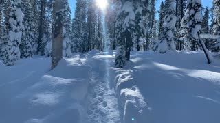 I’m the Only One Here – Central Oregon – Swampy Lakes Sno-Park