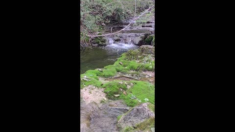 1 Hour of Relaxing Calm Creek Running Meditation and Deep Sleep