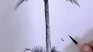 Realistic drawing Art Coconut Tree