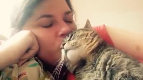 Talking cat says NO! to kisses on the head