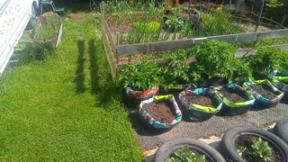 ....Weekly Garden Update....26/05/23