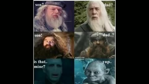 Harry Potter Funny Memes only true Harry potter's fans will know it