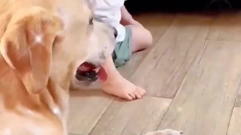 Puppy Helps Baby