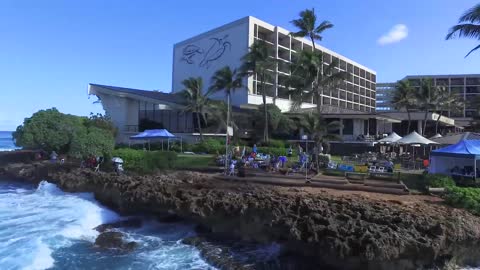 Turtle Bay Pro 2016 - highlights