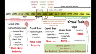 Beyond Depression: The Surprising Truth About Serotonin and Your Body