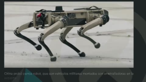 China presenta perros robot con ametralladoras montadas