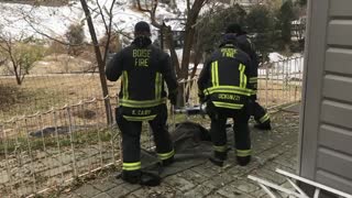 Firefighters use Jaws of Life to help trapped deer