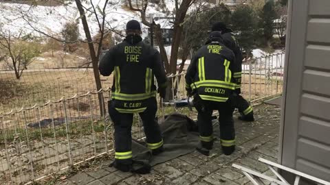 Firefighters use Jaws of Life to help trapped deer