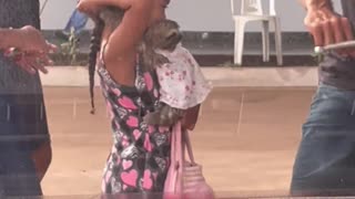 Little Girl Carries Sloth