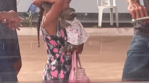 Little Girl Carries Sloth