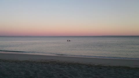 Funny sailor dog enjoy the sunset in a canoe