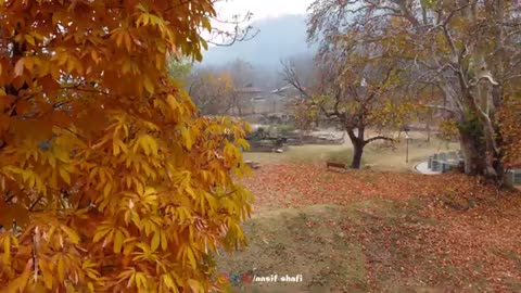 Kuthair Spring - Most Neglected And Underrated Ancient Spring - Spring In Anantnag
