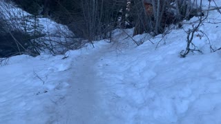 Hiking Up Icy Trail in Mount Hood National Forest – Tamanawas Falls – Oregon – 4K