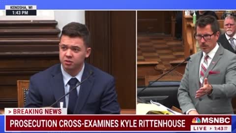 Kyle Rittenhouse owns prosecutor when asked why he tried to put out a fire started by rioters