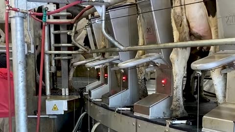 Xcalibur 360EX, External Rotary - Brownsville Dairy, New Brunswick (English)