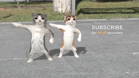 Dancing cats