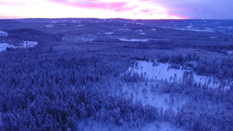 【4K】 Snowfall Winter ｜ Free Stock Footage ｜ NEW