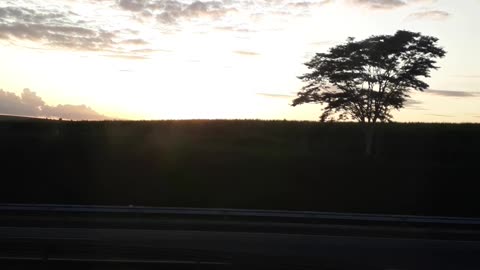 Amanhecer na Estrada II.