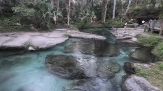 Kelly Park at Rock Springs in Apopka, Florida. Camping, Hiking, Tubing, & Swimming.