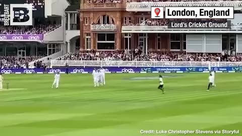 Oh, Cricket! Players Tackle, Carry Off Climate Protesters Disrupting Match