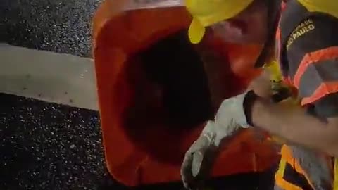 Homem fica entalado em cone de trânsito em SP: Vídeo mostra resgate