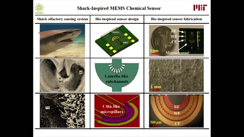 Biomimetic Sensors for Aquatic Environments MIT.nano 2018