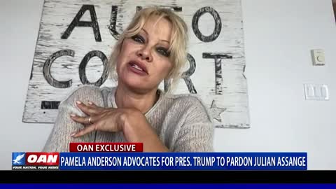 Pamela Anderson advocates for President Trump to pardon Julian Assange