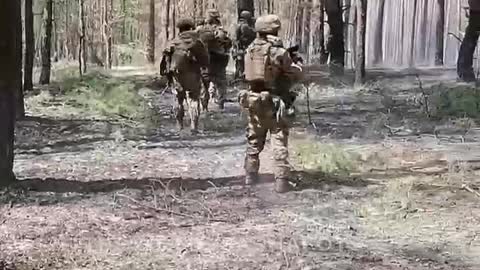 Ukraine War - Russian special forces are clearing a pine forest near Krasny Liman