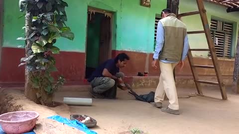 King cobra enter in Small house to attack common people
