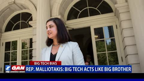 Rep. Malliotakis: Big Tech acts like big brother
