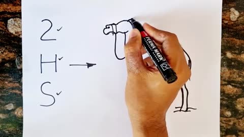 2HS turns into Camel Drawing // Easy Camel Drawing
