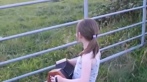 The Power of Music - Little Girl Serenades Herd Of Cows - Music is Love