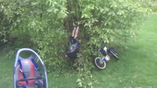 Boy Stuck In A Tree Call For His Baby Sister To Help