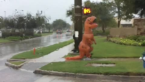Hurricane Harvey Brought the T-Rex