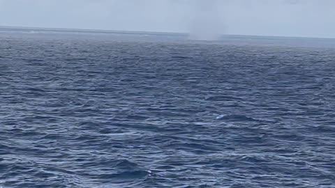 Waterspout Spins By Cruise Ship