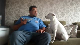 Man Argues with His Dog
