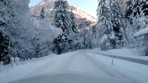 Grindelwald Switzerland