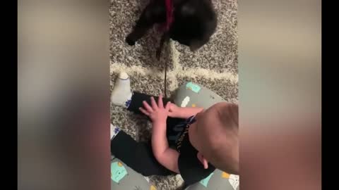Cutest Babies Play With Dogs And Cats Compilation