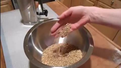 How to Make Depression Era Malted Milk Powder!