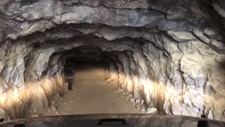 Driving into the Reward Mine
