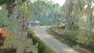 Elephant Now Attack In Palakkad Kerala